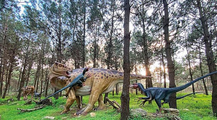Aspiring Geoparque Oeste, um território Jurássico