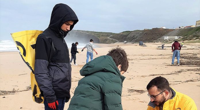 Cadaval: Alunos tiveram pela primeira vez “Férias na Escola”