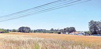 Criado grupo de trabalho para análise da localização do Hospital