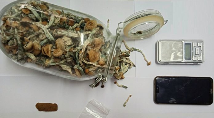 Homem detido por tráfico de droga em Peniche