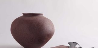 Pedro Lobo vence Mostra de Jovens Criadores