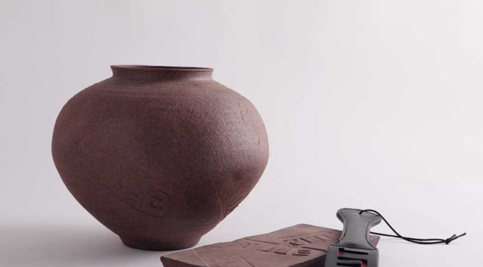 Pedro Lobo vence Mostra de Jovens Criadores