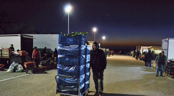 Qualidade, preço e frescura são mais-valias do Mercado Abastecedor