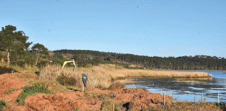 Já começou a obra de reconstrução do cais palafítico na Lagoa