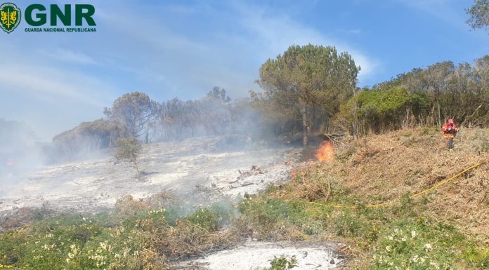 Homem de 49 anos detido nas Caldas devido a incêndio florestal