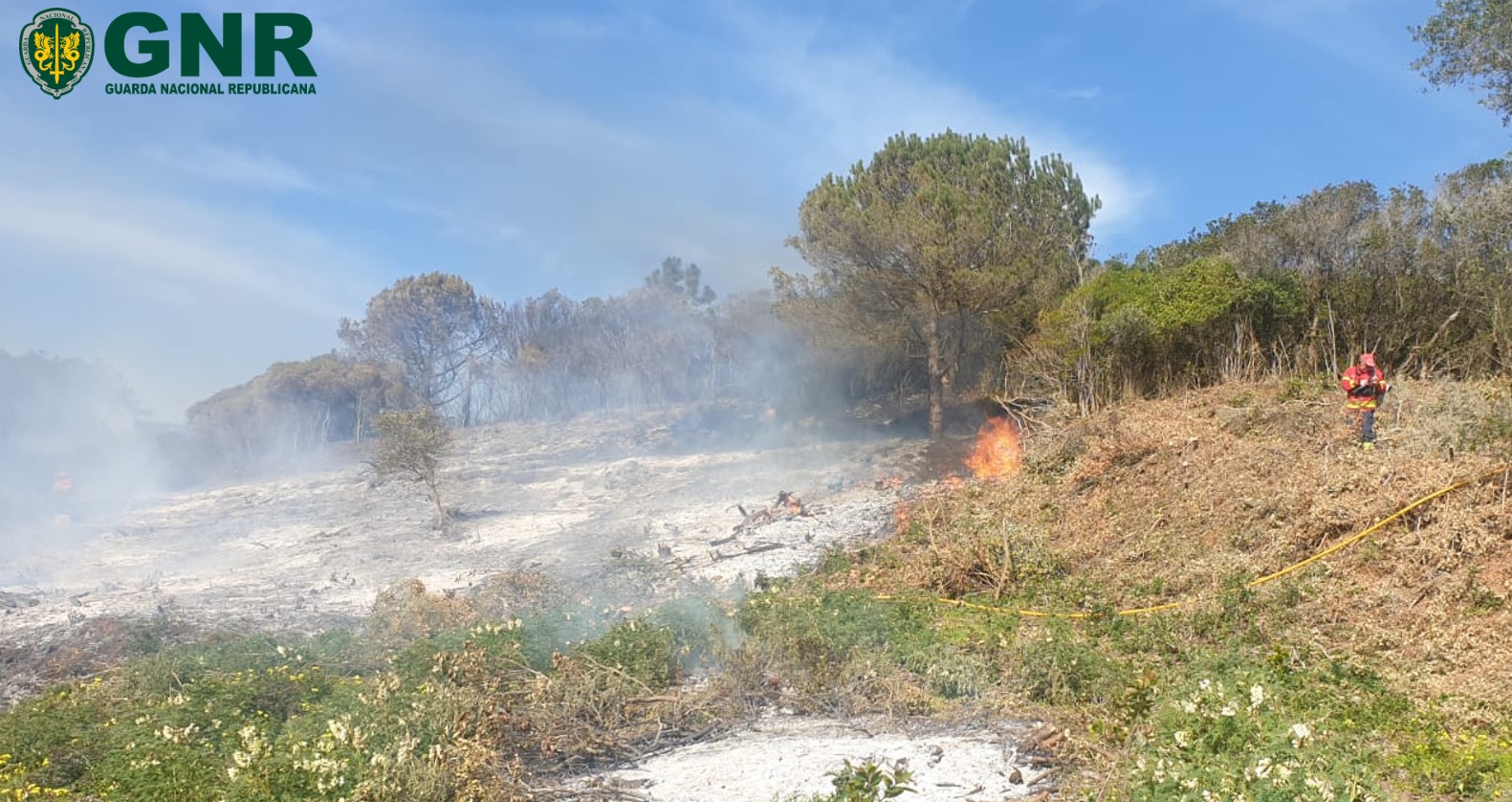Homem de 49 anos detido nas Caldas devido a incêndio florestal