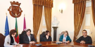 Amigo Fiel vai controlar gatos de rua do Bombarral