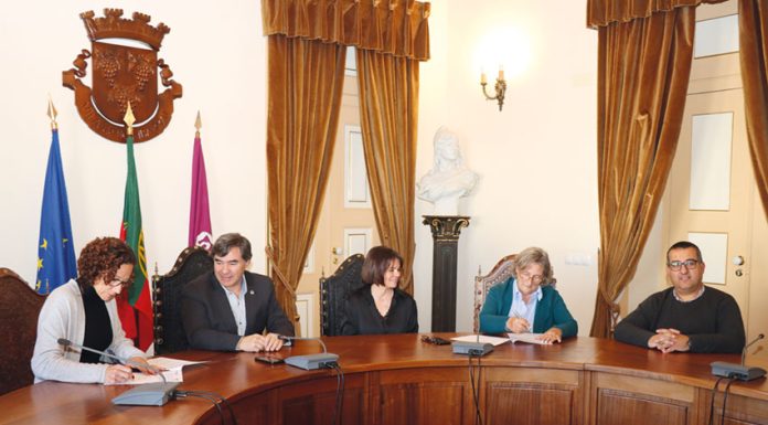 Amigo Fiel vai controlar gatos de rua do Bombarral