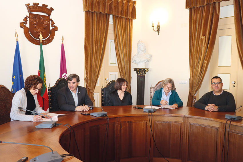 Amigo Fiel vai controlar gatos de rua do Bombarral