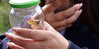 Cadaval: Dia das Florestas assinalado na Serra de Montejunto