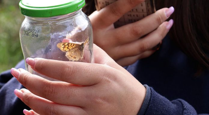 Cadaval: Dia das Florestas assinalado na Serra de Montejunto