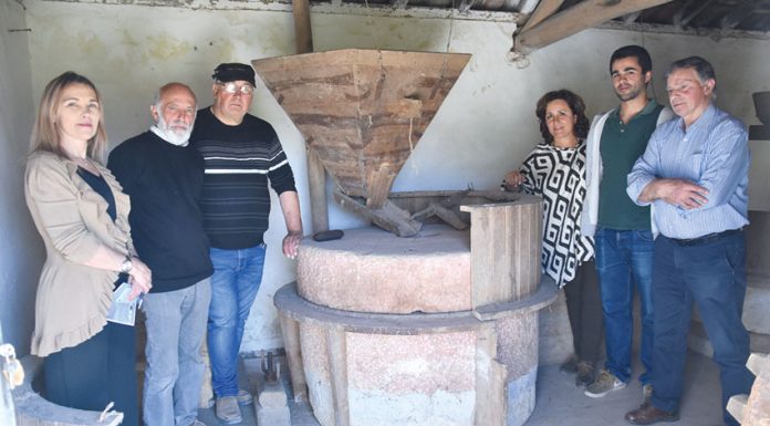 Na Amoreira há uma azenha centenária que vai voltar a moer