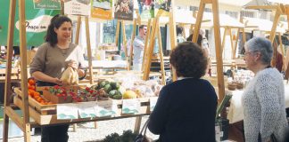 Iniciativas promoveram estilo de vida sustentável nas Caldas