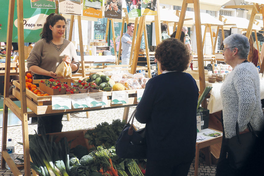 Iniciativas promoveram estilo de vida sustentável nas Caldas