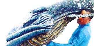 Espetáculo: ”No fundo do Mar” no Museu do Hospital e das Caldas