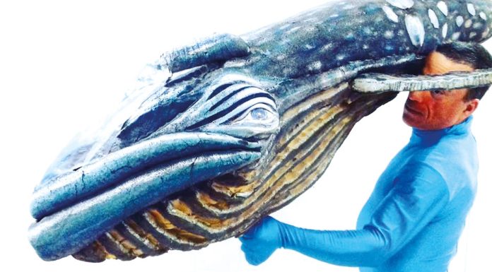 Espetáculo: ”No fundo do Mar” no Museu do Hospital e das Caldas