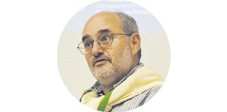 Felicidade no Trabalho