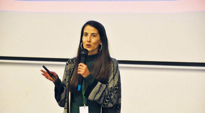 Caldense tem na Miniclip o seu “trabalho de sonho”