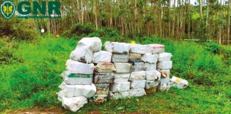 Óbidos: Apreendidos 36 fardos de cocaína no passado sábado