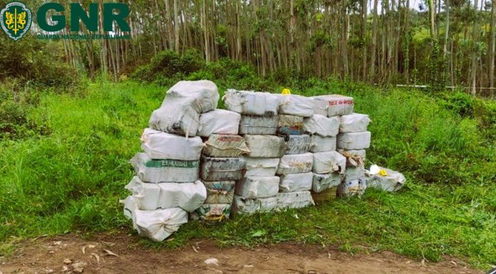 Apreendidos 36 fardos de cocaína no concelho de Óbidos