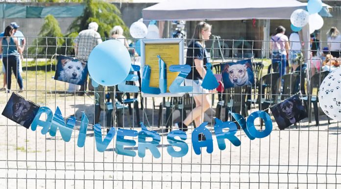 Dia aberto da CRAPAA atraiu três centenas