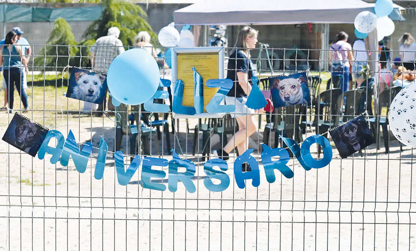 Dia aberto da CRAPAA atraiu três centenas