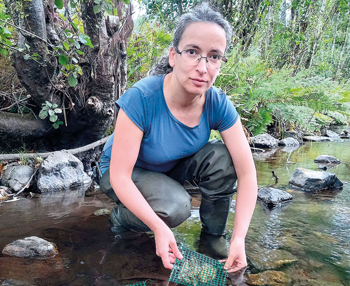 Investigadora do Bombarral estuda a seca nos ribeiros