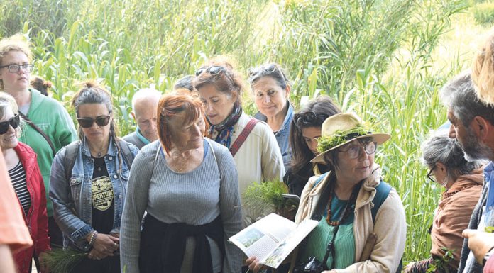 Fernanda Botelho ensinou usos medicinais e culinários de ervas