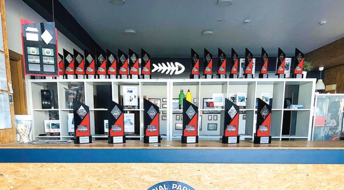 JustDive – Blue Academy vence prémios