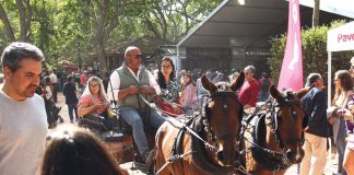 Oeste Lusitano voltou a dinamizar o Parque Dom Carlos I num evento marcadamente equestre, mas para todas as famílias