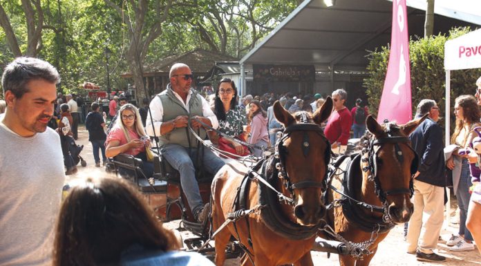Oeste Lusitano voltou a dinamizar o Parque Dom Carlos I num evento marcadamente equestre, mas para todas as famílias