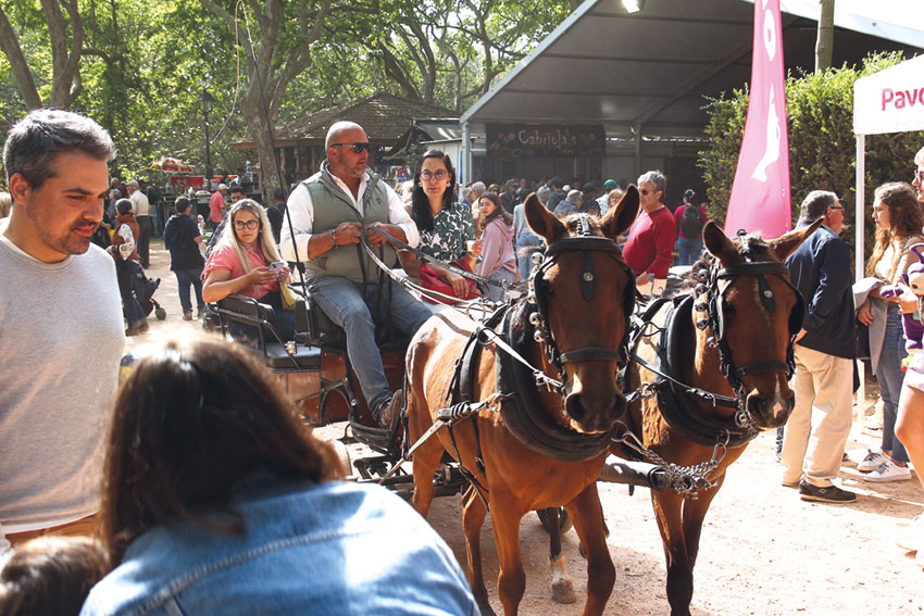 Oeste Lusitano voltou a dinamizar o Parque Dom Carlos I num evento marcadamente equestre, mas para todas as famílias