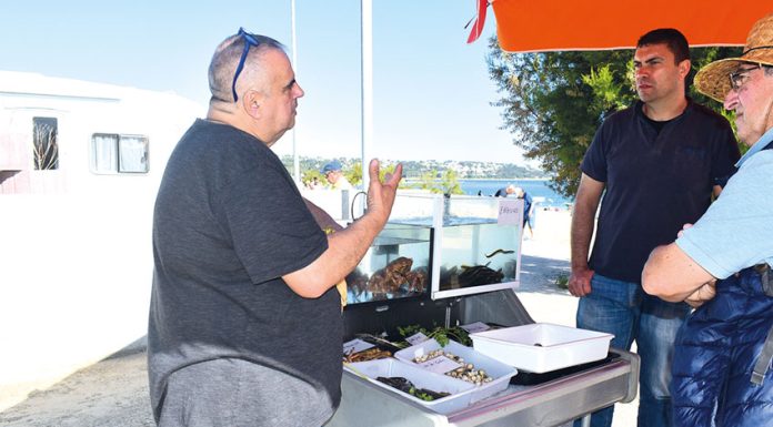 Caldas da Rainha: Festival promoveu conversa sobre a Lagoa de Óbidos