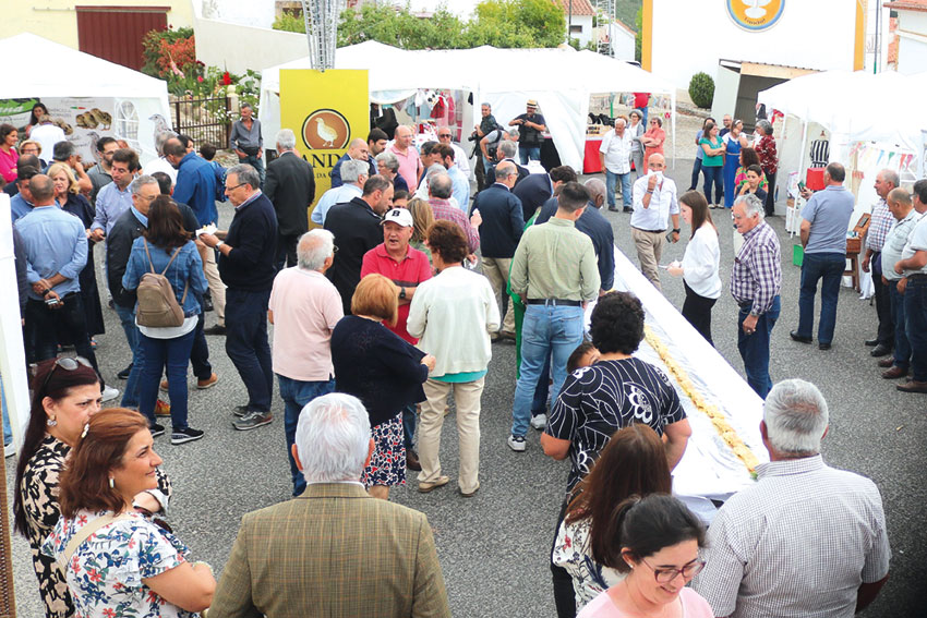 Festival da Codorniz do Landal continua a ser um sucesso