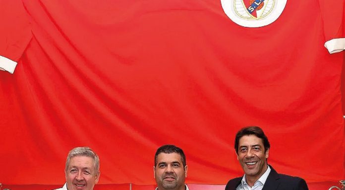 Futsal: Alex Pinto renovou contrato com o Benfica