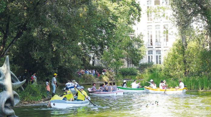 Grande Regata com oferta desportiva, lúdica e alimentar reforçada