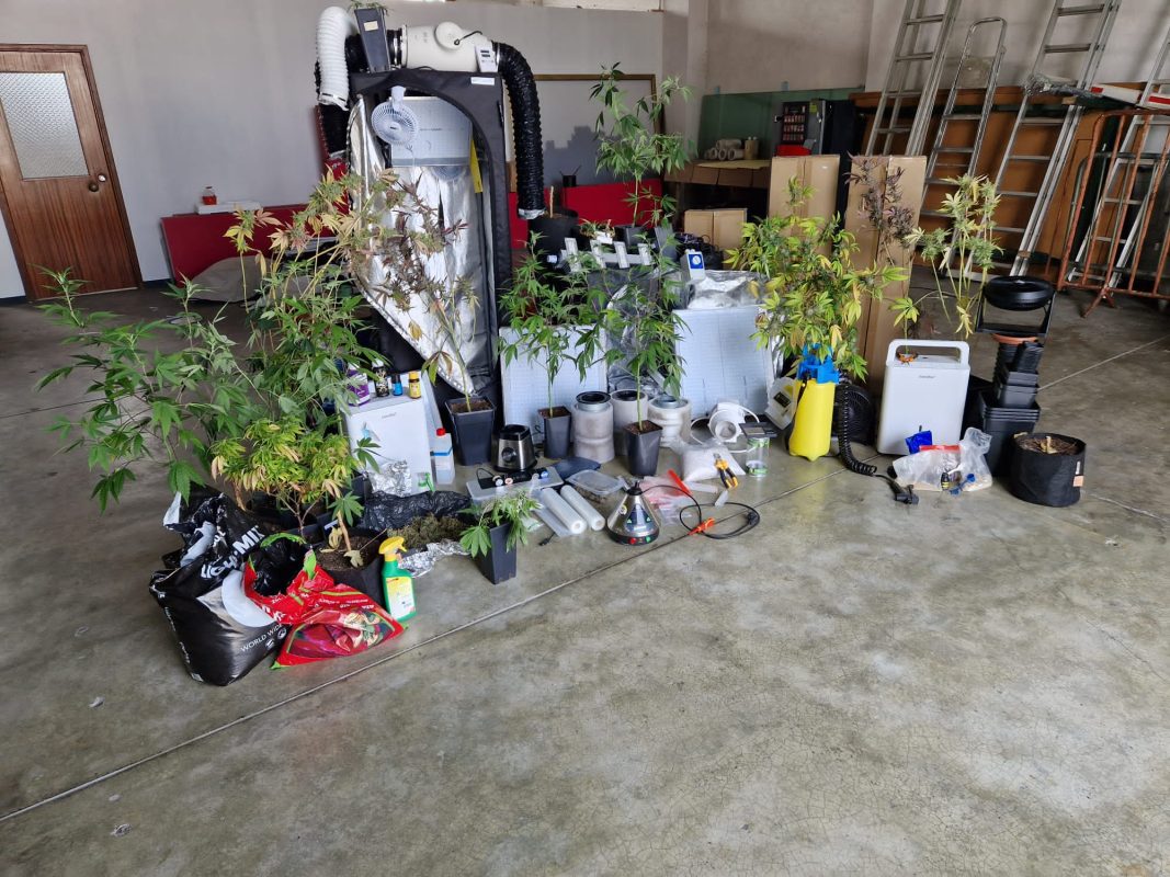 Homem detido na Nazaré por produção de droga em casa