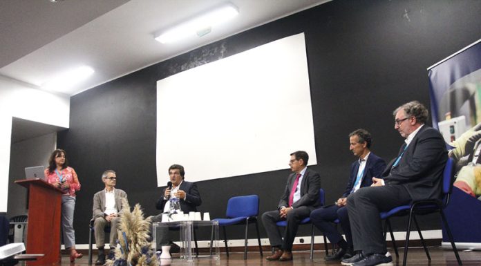 Futuro da economia exige mais parcerias