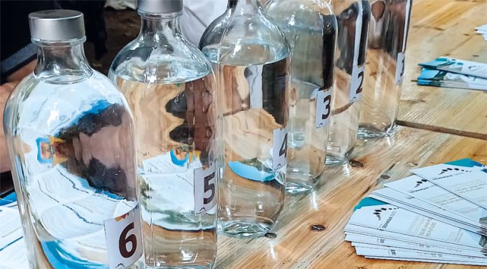 Lourinhã: Geoparque dinamizou prova de águas em festival