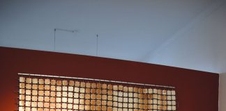 Nazaré Feliciano abre hoje atelier artístico junto ao Parque D. Carlos