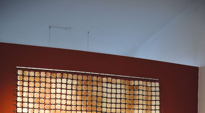 Nazaré Feliciano abre hoje atelier artístico junto ao Parque D. Carlos