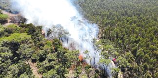 Bombeiros combateram 10 incêndios em 24 horas