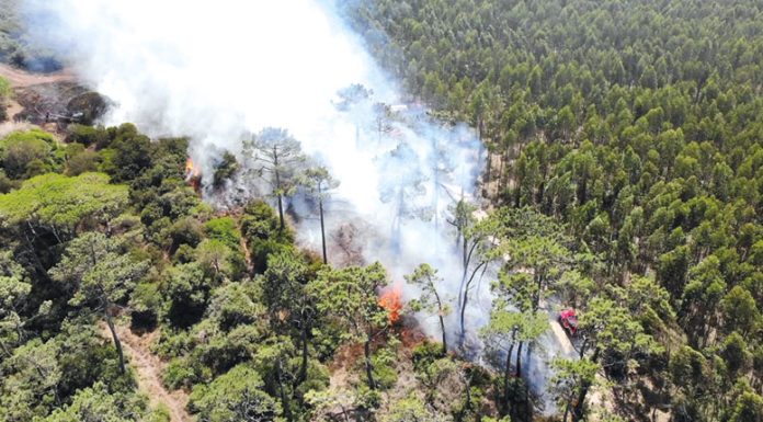 Bombeiros combateram 10 incêndios em 24 horas