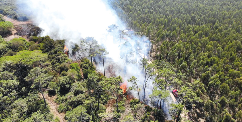 Bombeiros combateram 10 incêndios em 24 horas