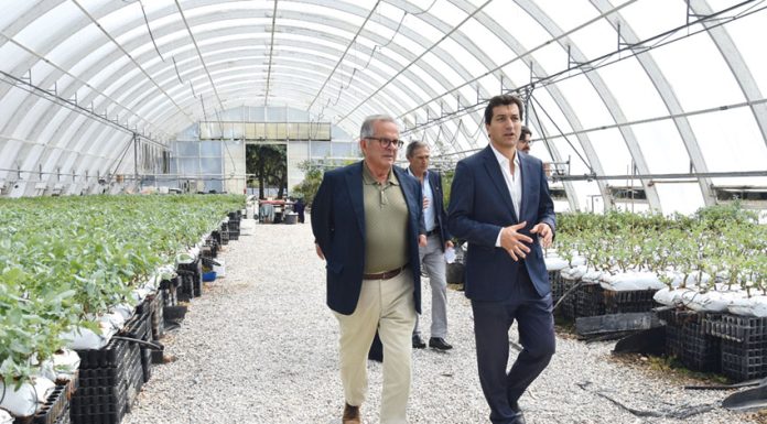 Governante torriense defende novo Hospital no Bombarral