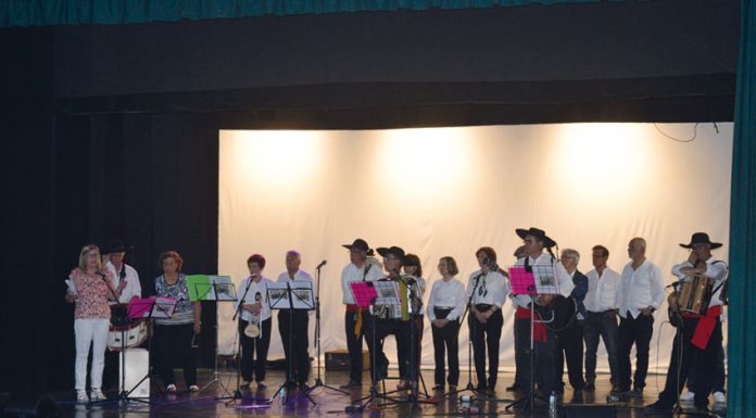 João Arroja foi homenageado pelos grupos que formou