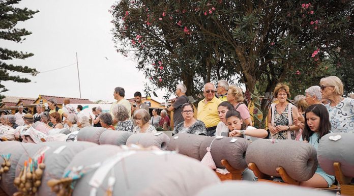 Peniche: Mostra Internacional de Renda de Bilros com produtos inovadores