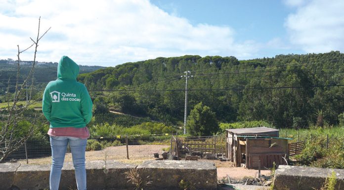 Quintas pedagógicas da região proporcionam experiências com animais e na natureza, para aproveitar no verão