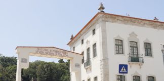 Festival do Vinho e Feira da Pera Rocha de regresso à Mata do Bombarral