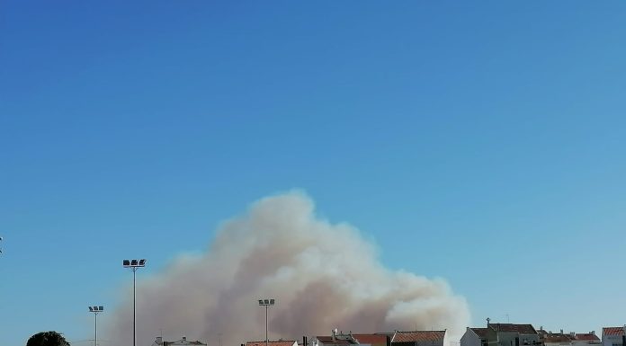 Cerca de 180 bombeiros e 4 meios aéreos combatem incêndios nas Caldas